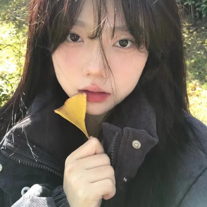 墨城谜案